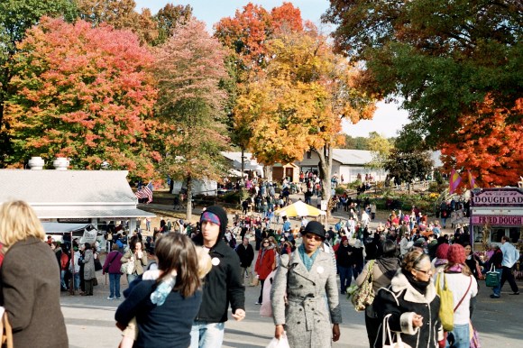 Friendly Festival-goers