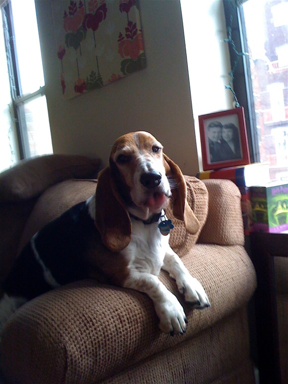 henry-raspberry "Pfffft!"