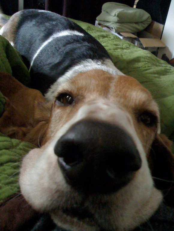 "It's Snuggle Time."