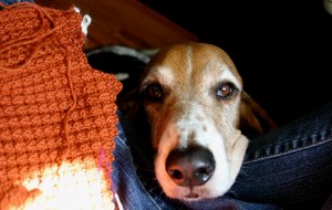 henrythermal I think I can count on Henry's help.