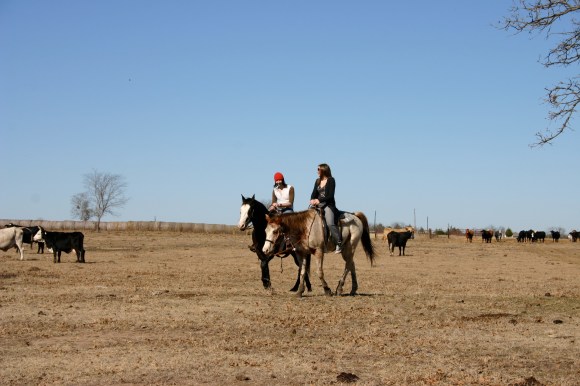 ranch1 City Slickers