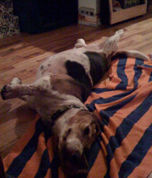 Maxxin and Relaxxin by the Heater