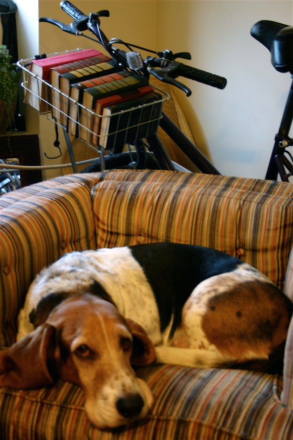 Henry has no preference for magic loop or dpns