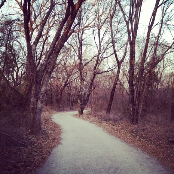 8256349478_fc695444b9_o